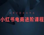 小红书电商高级进阶课程：从新手到专家，全面掌握运营技巧【实战培训】