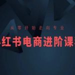 小红书电商高级进阶课程：从新手到专家，全面掌握运营技巧【实战培训】