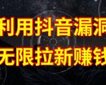 揭秘抖音链接漏洞：无限拉新赚钱的秘诀，原理分析与操作指南【独家揭秘】