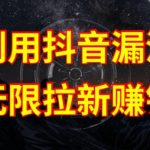 揭秘抖音链接漏洞：无限拉新赚钱的秘诀，原理分析与操作指南【独家揭秘】