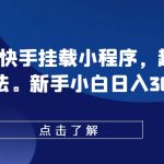 【独家揭秘】0粉丝抖音快手暴利小程序挂载！超级变脸玩法，新手小白日赚300+的神秘攻略！