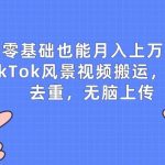 惊天揭秘】零基础月入W+秘籍！TIKTOK风景视频搬运大法，轻松去重，傻瓜式上传，财富滚滚来！