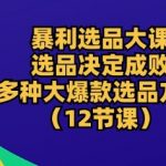 【暴利选品秘术】掌握爆款选品，决定电商生死！12节独家课程，揭秘多种选品策略，让你轻松打造畅销商品！