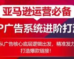 【亚马逊运营核武器】SP广告高级攻略！深入广告底层逻辑，精确打击市场，一步到位打造爆款链接的终极秘籍！