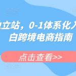 【独立站掘金秘籍】从0到1，小白跨境电商逆袭宝典！体系化入门指南，快速开启你的全球电商帝国梦！