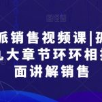 【销售绝学】孤独九剑！实战派销售视频课程，九大章节环环相扣，全方位揭秘销售艺术，让你成为成交高手！