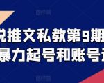 【小说推文私教第9期】揭秘推文暴力起号与账号运营！深度解析小说推广秘诀，轻松实现流量暴涨，成为推文高手！