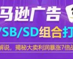 【亚马逊广告组合战术】SP/SB/SD广告策略揭秘！学习大卖家的利润暴涨7倍战术，优化你的亚马逊广告组合，实现销售飞跃！