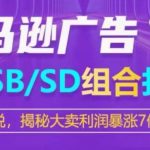 【亚马逊广告组合战术】SP/SB/SD广告策略揭秘！学习大卖家的利润暴涨7倍战术，优化你的亚马逊广告组合，实现销售飞跃！
