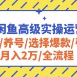 【2024闲鱼高级实操运营课程】从开店到月入2万全流程解析！深入讲解养号技巧、选择爆款策略、引流方法，全面覆盖闲鱼运营的各个环节，助你轻松实现盈利目标！