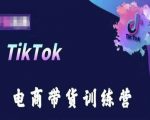 【TIKTOK电商带货训练营】跟随时代潮流，跨境掘金！深度学习TIKTOK电商带货技巧，掌握跨境销售策略，实现全球市场的盈利拓展，成为国际电商领域的领先者！