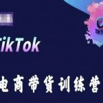 【TIKTOK电商带货训练营】跟随时代潮流，跨境掘金！深度学习TIKTOK电商带货技巧，掌握跨境销售策略，实现全球市场的盈利拓展，成为国际电商领域的领先者！