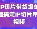 【明星IP切片带货爆单营】0基础搞定IP切片带货短视频！学习如何利用明星IP影响力，制作切片带货短视频，实现爆单销售，轻松开启短视频电商赚钱之旅！