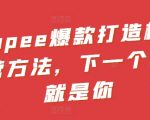 SHOPEE爆款打造核心运营方法，下一个大卖就是你