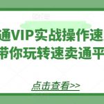 掌握速卖通VIP高级操作：实战速成班，轻松征服跨境电商