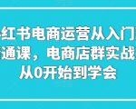 掌握小红书电商运营：从零基础小白到开店高手，实战课教你打造爆品网店
