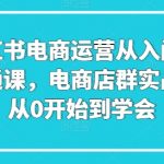 掌握小红书电商运营：从零基础小白到开店高手，实战课教你打造爆品网店
