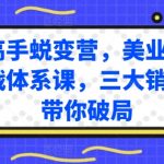 销售高手速成秘籍：美业销售实战体系课，三大核心策略助你业绩飙升！