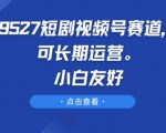 9527短剧视频号赛道：小白也能操作的长期盈利秘密大公开