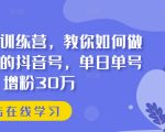 抖音暴富秘籍！打造盈利抖音账号，揭秘单日增粉30万的实操训练营