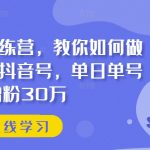 抖音暴富秘籍！打造盈利抖音账号，揭秘单日增粉30万的实操训练营