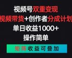 视频号双重变现策略：视频带货与创作者分成计划，实现简单操作与矩阵收益的完美结合【独家揭秘】
