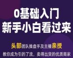 2024年新媒体流量变现运营手册：成为流量磁铁与销售高手的终极指南