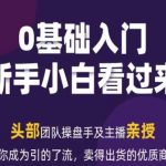 2024年新媒体流量变现运营手册：成为流量磁铁与销售高手的终极指南