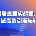 21天视频号直播速成实战课：掌握视频号X私域引流与转化的终极秘诀