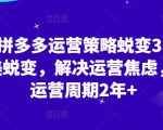 2024拼多多运营策略全新升级3.0：从0到1完美蜕变，破解运营焦虑，缩短运营周期超2年