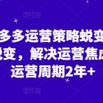 2024拼多多运营策略全新升级3.0：从0到1完美蜕变，破解运营焦虑，缩短运营周期超2年