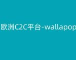 欧洲二手交易平台WALLAPOP使用教程：掌握跨境电商致胜秘诀