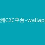 欧洲二手交易平台WALLAPOP使用教程：掌握跨境电商致胜秘诀