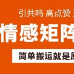 情感矩阵涨粉秘籍：快速搬运、高效带货、起号攻略大揭秘