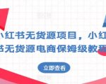 小红书无货源电商实战指南：从零到一保姆级教程大揭秘