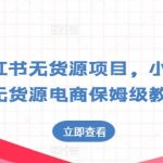 小红书无货源电商实战指南：从零到一保姆级教程大揭秘