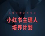 小红书新手变达人速成课！零基础快速精通，小红书博主成长计划秘籍