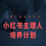 小红书新手变达人速成课！零基础快速精通，小红书博主成长计划秘籍