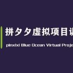 黄岛主带你探索拼夕夕虚拟变现3.0，挖掘蓝海平台的虚拟项目，实现单天50-500+纯利润的财富秘密