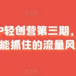 打造宝妈个人品牌：轻松掌握流量秘籍，第三期轻创业训练营火热招募中！