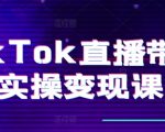 TikTok直播带货终极指南：从零打造爆红账号、精准复盘策略、高效转化链路、专业直播设置、小店运营全攻略、团队构建秘籍