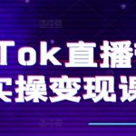 TikTok直播带货终极指南：从零打造爆红账号、精准复盘策略、高效转化链路、专业直播设置、小店运营全攻略、团队构建秘籍
