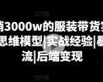 打造月入3000万的直播带货攻略，揭秘服装销售顶级思维模型与实操技巧，掌握暴力引流秘诀及后端变现策略