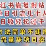 小红书引流达人教你如何单日轻松吸引几十人，月入过万简单不违规【独家揭秘】