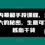 掌握商业内幕策略：揭秘以小博大的商业秘密，学习可复制的生意核心技巧