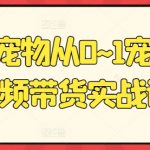 宠物短视频带货达人必备：元宝宠物0~1带货实战课