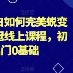 外贸新手到销冠的蜕变：零基础完美进化线上课程