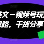 小说推广必看！视频号新玩法与思路解析，独家干货大放送