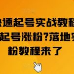 抖音新手必看！极速起号秘籍大公开，零基础也能疯狂吸粉，实战攻略助你成为抖音红人！