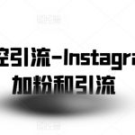 INSTAGRAM高效引流秘籍：社交群控技术助你轻松批量增粉